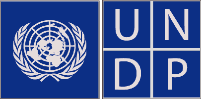 UNDP_IndianBureaucracy