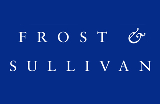 frost-and-sullivan_indianbureaucracy