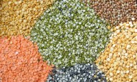 pulses-indianbureaucracy