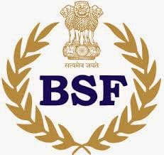 BSF indianbureaucracy