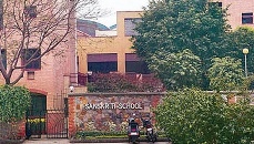 Verdict on Sanskriti School