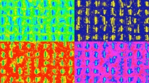Center for the Neural Basis of Cognition -indianbureaucracy