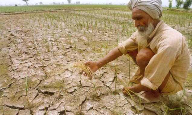 barren-farmland-indianbureaucracy-india- punjab farmer