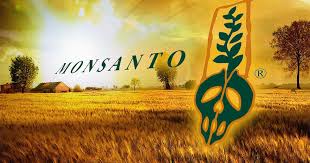 monsanto_IndianBureaucracy