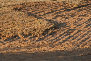 top-soil-loss-indianbureaucracy