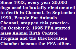 pfa new