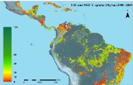 Carbon capture is substantial in secondary tropical forests-indianbureaucracy