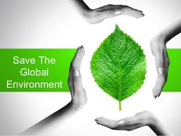 global environment_indianbureaucracy