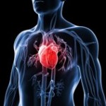 Traumatic events do take toll on the heart