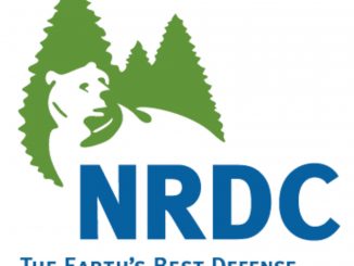 NRDC-indianbureaucracy