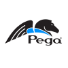 Pegasystems-indianbureaucracy