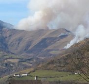 Wildfire on warming planet requires adaptive capacity at local- national- international scales-indianbureaucracy Wildfire on warming planet requires adaptive capacity at local- national- international scales-indianbureaucracy