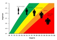 women-barriers-Physical Activity_weight-bmi_indianbureaucracy