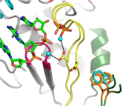 Biochemists_indianbureaucracy