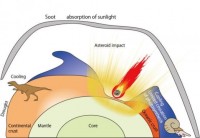 Dinosaurs_ammonites_indianbureaucracy