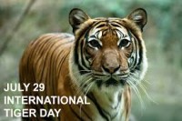 International Tiger day_indianbureaucracyInternational Tiger day_indianbureaucracy