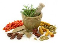 Ayurvedic Drugs_indianbureaucracy