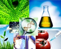 Bio-Technology Sector_indianbureaucracy