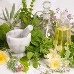 Herbal Plant_indianbureaucracy