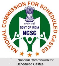 NCSC_indianbureaucracyy