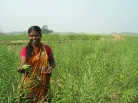 Women_Agriculture Sector_indianbureaucracy