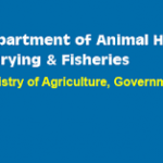 Department of Animal Husbandry