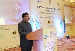 5th-ief-igu-ministerial-gas-forum-indian-bureaucracy