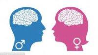 brain-social-behavior-males-and-females-indian-bureaucracy