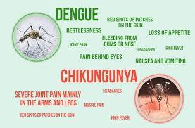 Chikungunya – 2016 function-Indian Bureaucracy