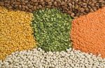 procurement-of-pulses-for-buffer-stock-indian-bureaucracy-indianbureaucracyprocurement-of-pulses-for-buffer-stock-indian-bureaucracy-indianbureaucracy