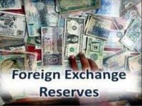 Foreign Exchange Reservesi-IndianBureaucracy