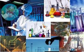 India Pharma 2017-Indian BUreaucracy