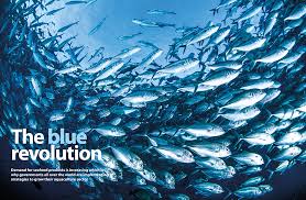 Steps taken to Promote Fisheries under the scheme of Blue Revolution indianBureaucracy