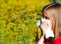 How stable manure protects against allergies-IndianBureaucracy