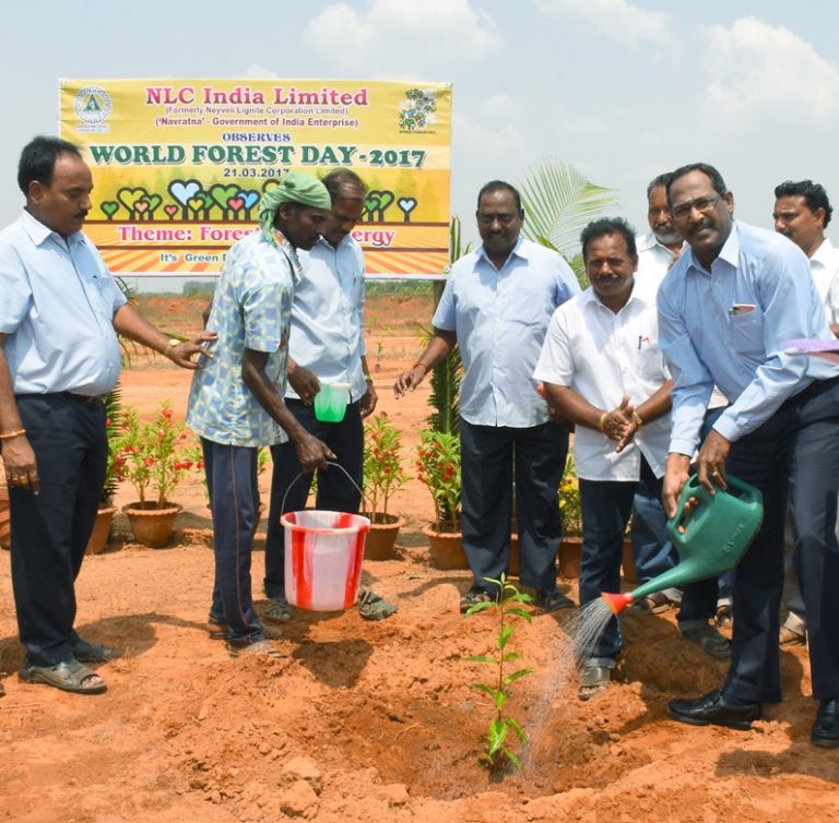 World Forest Day 2017-IndianBureaucracy
