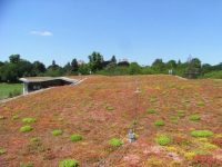 ,biodiversity ,Green Roofs-IndianBureaucracy