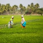 Agro-Economic Research Centres ,AERCs-indianbureaucracy