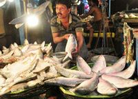 Goa government fish at subsidised rates-indianbureaucracy