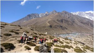 ONGC Everest Team2-IndianBureaucracy