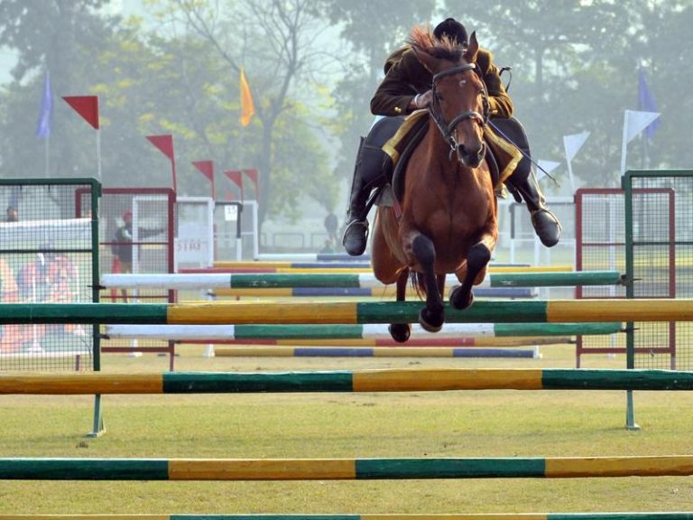 The Delhi Horse Show-2017-indianBureaucracy