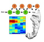 brain predicts speech -indianbureaucracy