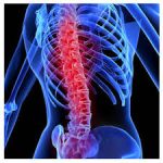 spinal cord injuries-indianbureaucracy