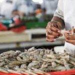 India Seafood