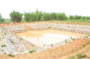 Newly constructed waterpool at Teppadabeguru-indianbureaucracy