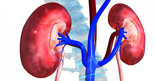 kidney disease-indianbureaucracy