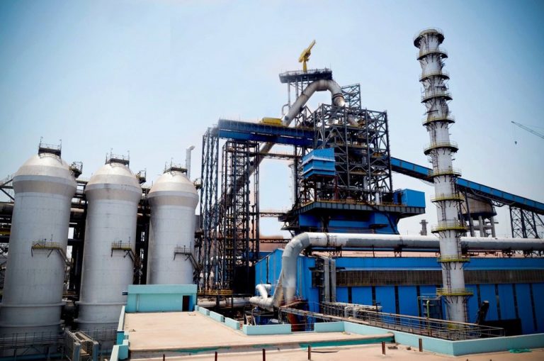 Sail Plants