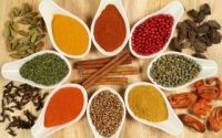 Spices Exports