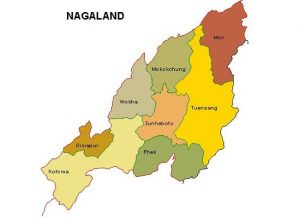 Nagaland