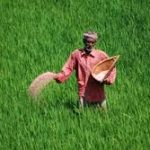 Benefits of new Crop