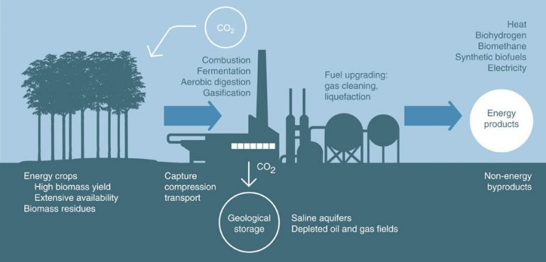 Carbon conversion
